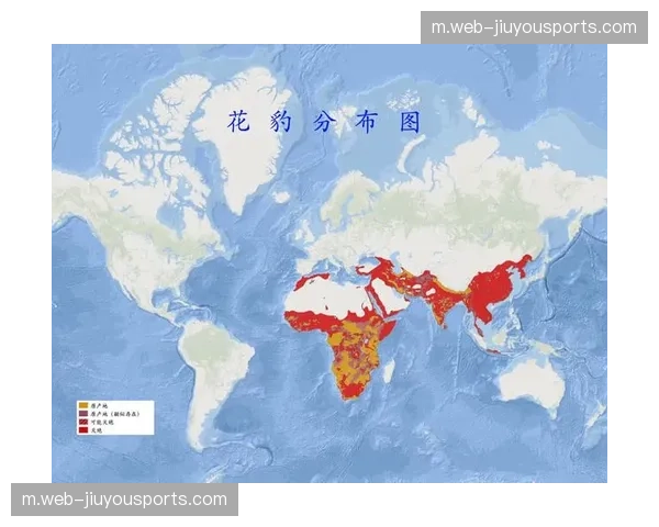 新西兰大洋洲独苗 面对比利时伊朗埃及力争积分